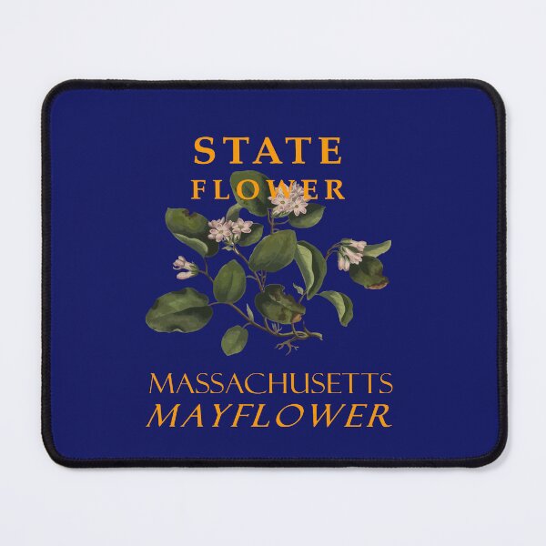 Item preview, Massachusetts Territory Flower The Mayflower designed and sold by taiche.