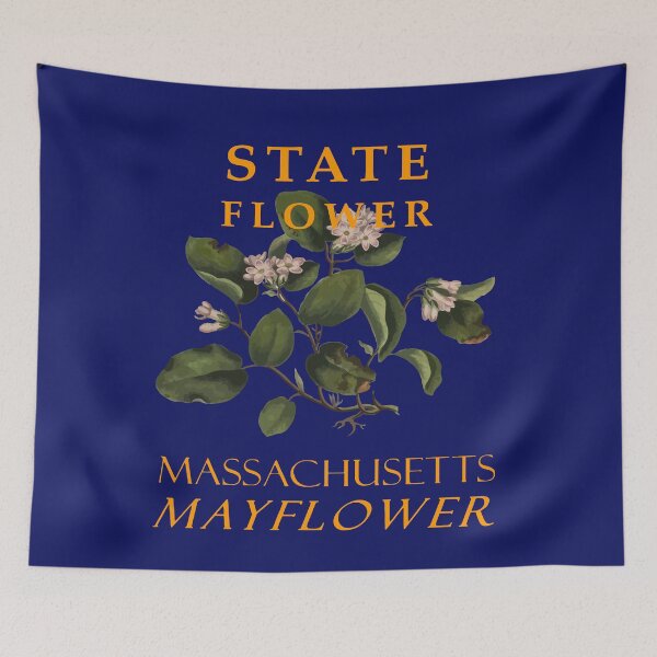 Item preview, Massachusetts Territory Flower The Mayflower designed and sold by taiche.