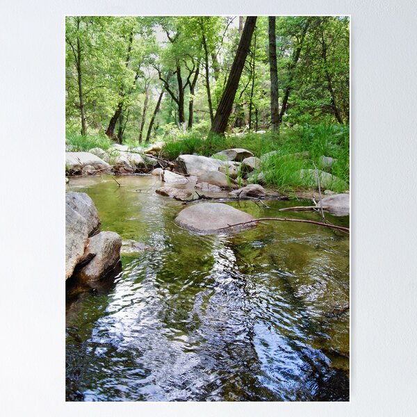 Item preview, From the Water to the Trees designed and sold by HeavenOnEarth.