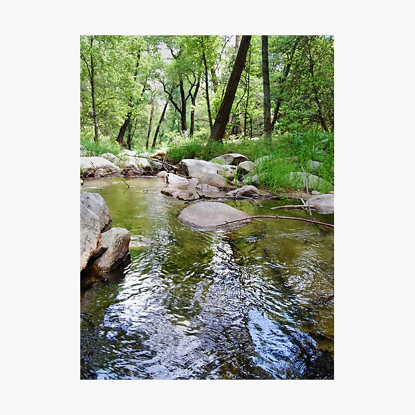 Item preview, From the Water to the Trees designed and sold by HeavenOnEarth.