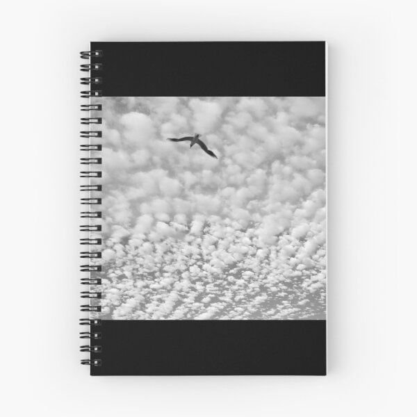Item preview, Cloudscape and flying seagull. Black and white. designed and sold by Elena Dijour.