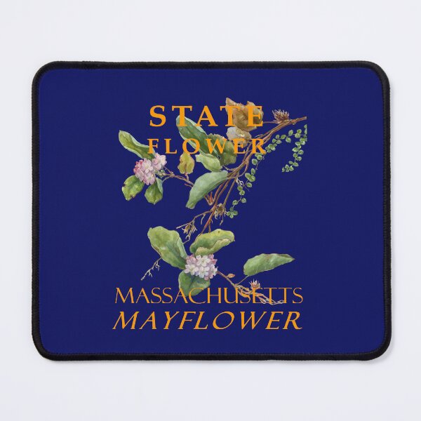 Item preview, Massachusetts Territory Flower The Mayflower Vintage Botanical designed and sold by taiche.