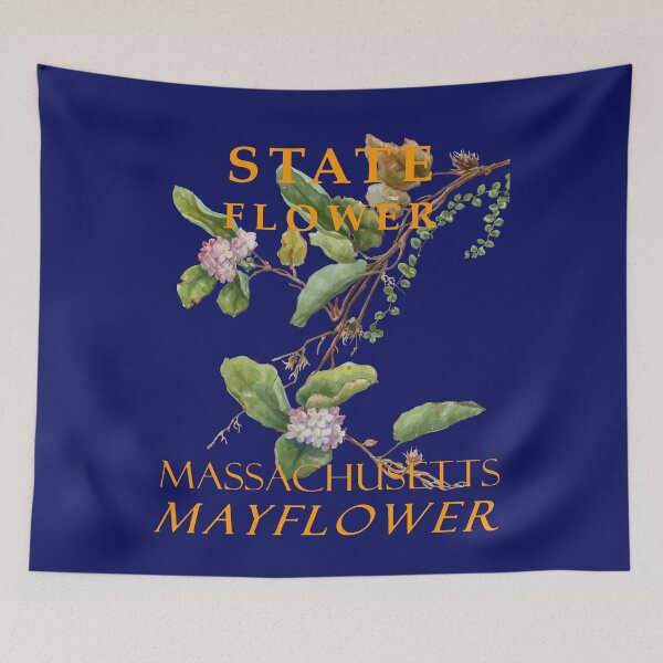 Item preview, Massachusetts Territory Flower The Mayflower Vintage Botanical designed and sold by taiche.