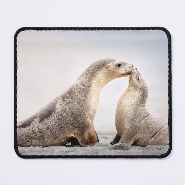 Item preview, Australian Sea Lions designed and sold by Mihaela Limberea.