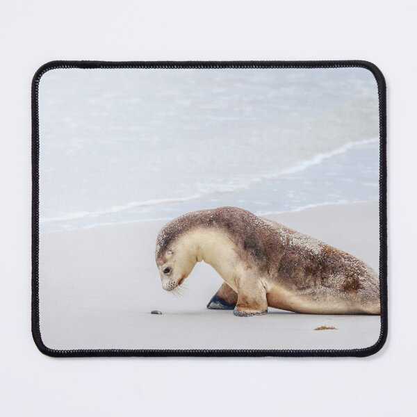 Item preview, Australian Sea Lion Pup designed and sold by Mihaela Limberea.