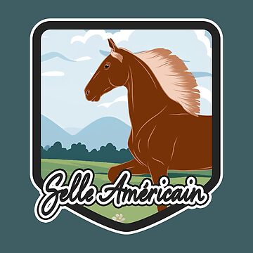 Aperçu de l'œuvre Cheval de Selle Américain, blason et armoirie cheval alezan, cheval d'allure, races de chevaux des États Unis de WebEquitation®