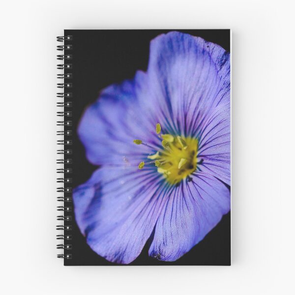 Item preview, Dramatic Flax Flower designed and sold by ADM  Photography.