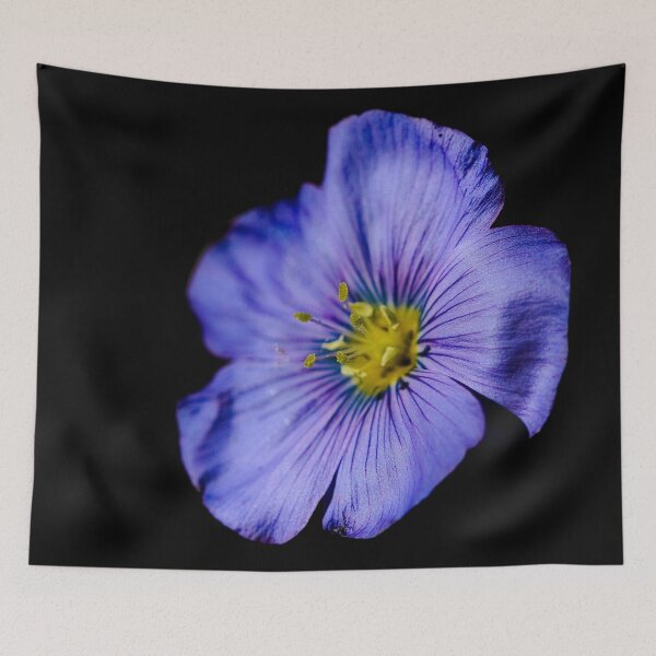 Item preview, Dramatic Flax Flower designed and sold by ADM  Photography.