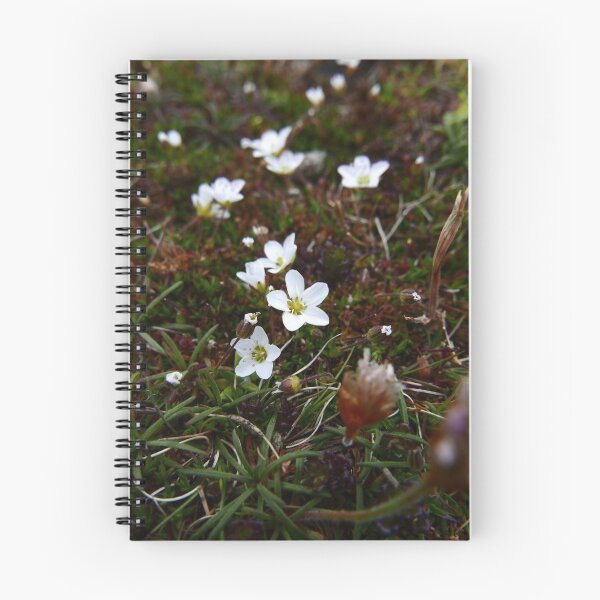 Item preview, Spring Sandwort (Minuartia verna) designed and sold by IOMWildFlowers.