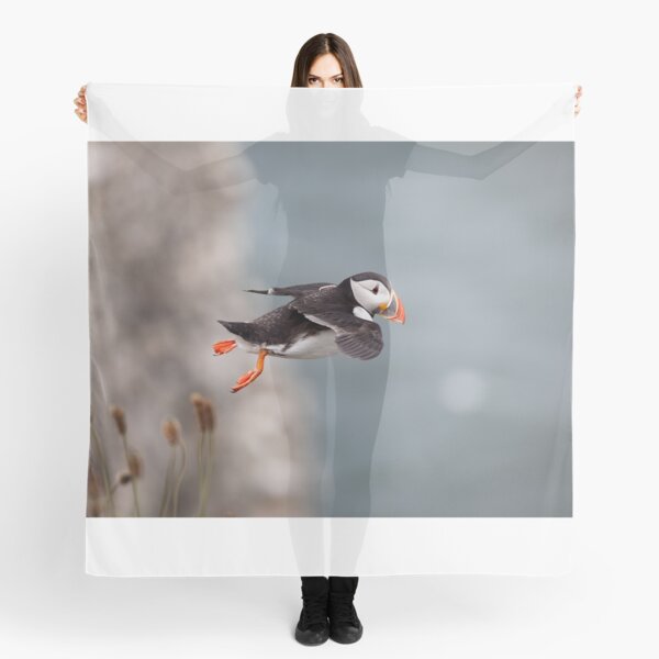 Item preview, Puffin Fly-by designed and sold by RedGrouse.