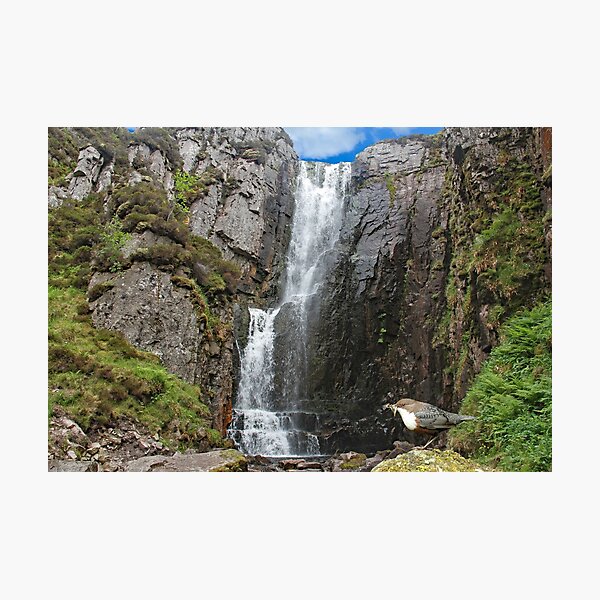 Item preview, Wailing Widow Waterfall with Dipper  designed and sold by sandysshoots.