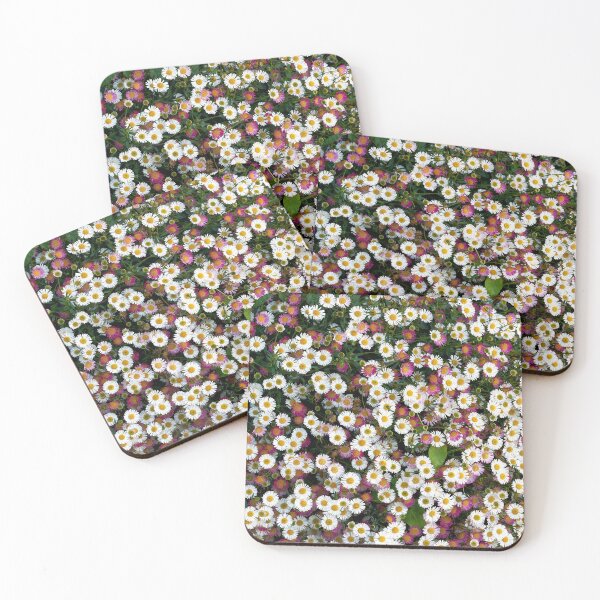 Item preview, Seaside Daisies Erigeron glaucus designed and sold by Dorset Girl.