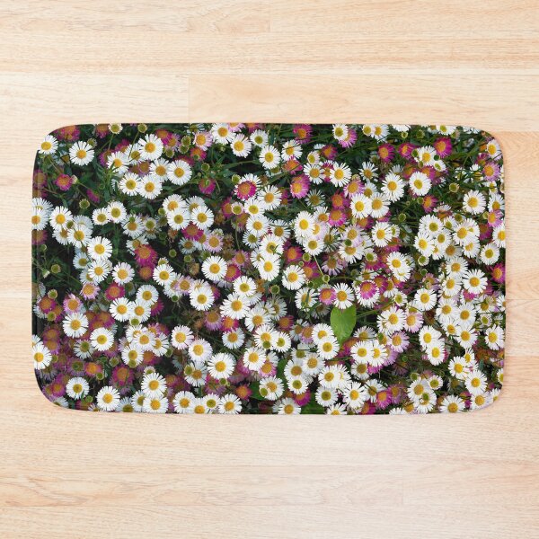 Item preview, Seaside Daisies Erigeron glaucus designed and sold by Dorset Girl.