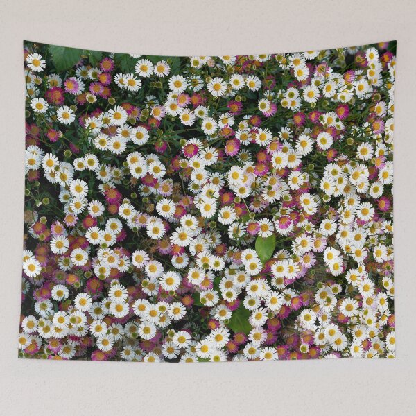Item preview, Seaside Daisies Erigeron glaucus designed and sold by Dorset Girl.