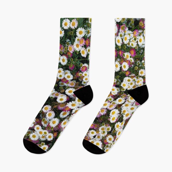 Item preview, Seaside Daisies Erigeron glaucus designed and sold by Dorset Girl.