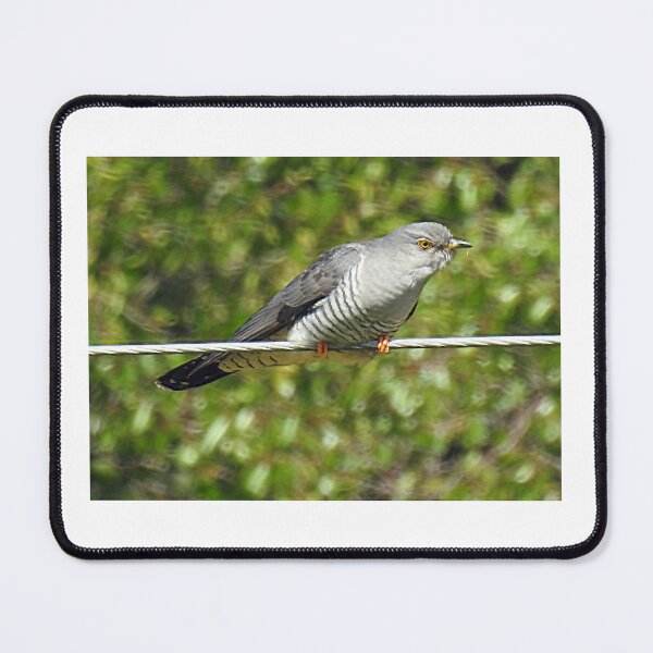 Item preview, Cuckoo designed and sold by sandysshoots.