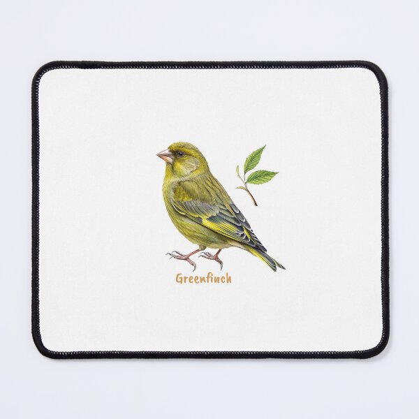 Item preview, Cute Greenfinch bird, Garden Bird designed and sold by iclipart.