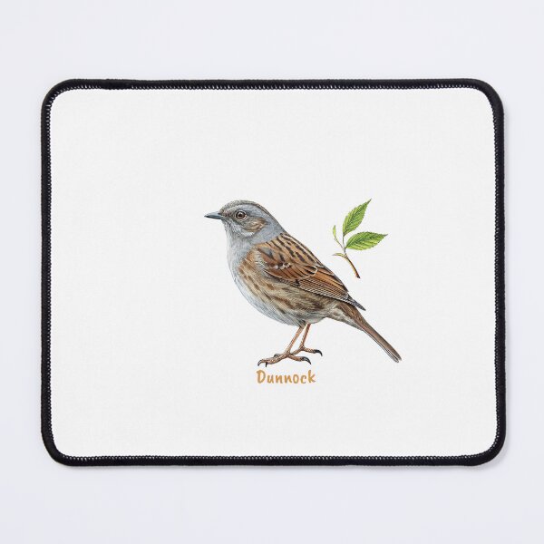 Item preview, Cute Dunnock bird, Garden Bird designed and sold by iclipart.