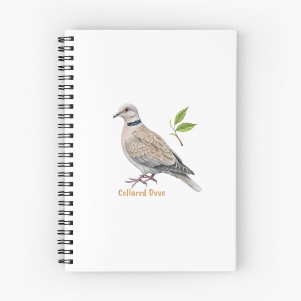 Item preview, Cute Collared Dove bird, Garden Bird designed and sold by iclipart.
