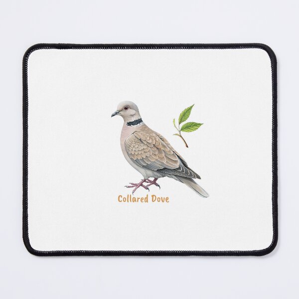 Item preview, Cute Collared Dove bird, Garden Bird designed and sold by iclipart.