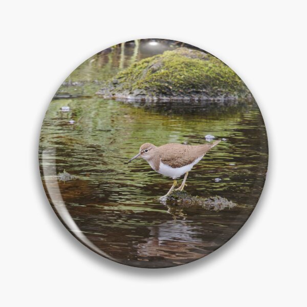 Item preview, On the rocks. Common sandpiper designed and sold by Jouko Lehto Photography.