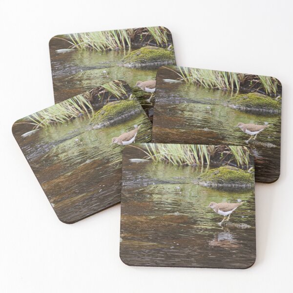 Item preview, On the rocks. Common sandpiper designed and sold by Jouko Lehto Photography.