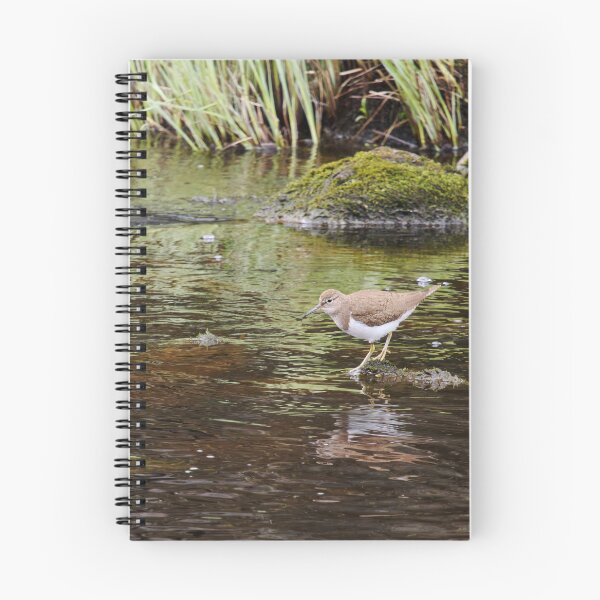 Item preview, On the rocks. Common sandpiper designed and sold by Jouko Lehto Photography.