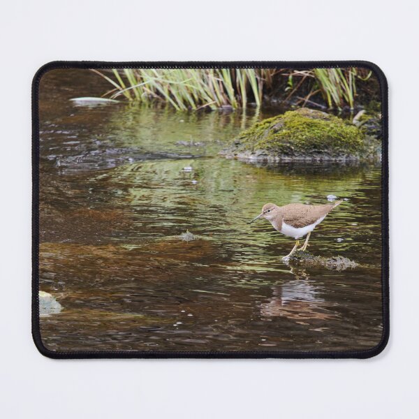 Item preview, On the rocks. Common sandpiper designed and sold by Jouko Lehto Photography.