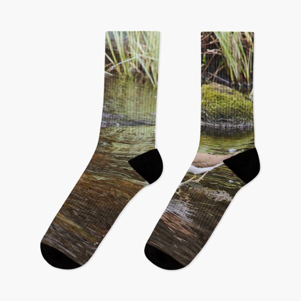 Item preview, On the rocks. Common sandpiper designed and sold by Jouko Lehto Photography.