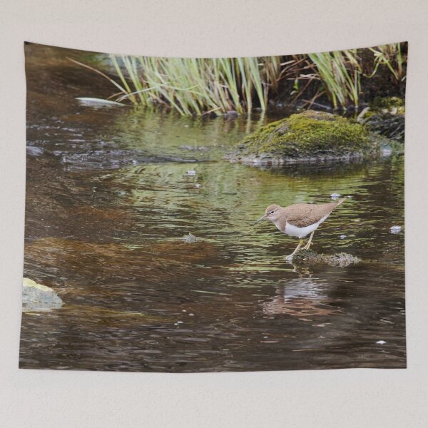 Item preview, On the rocks. Common sandpiper designed and sold by Jouko Lehto Photography.
