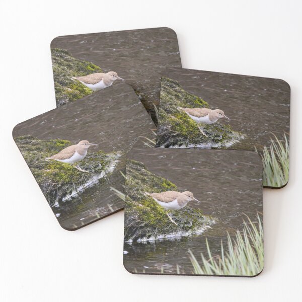 Item preview, Waterline studies. Common sandpiper designed and sold by Jouko Lehto Photography.