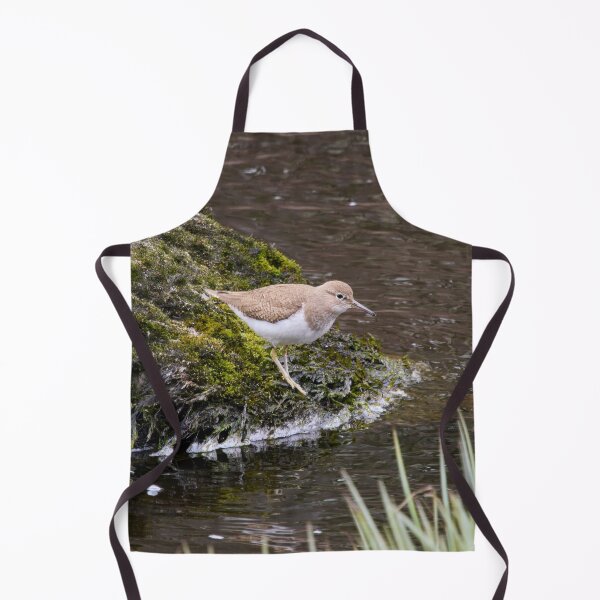 Item preview, Waterline studies. Common sandpiper designed and sold by Jouko Lehto Photography.