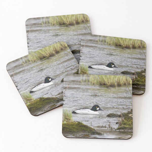 Item preview, Thosse golden eyes. Common goldeneye designed and sold by Jouko Lehto Photography.