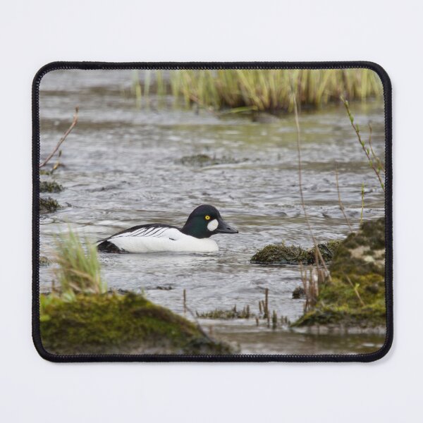 Item preview, Thosse golden eyes. Common goldeneye designed and sold by Jouko Lehto Photography.