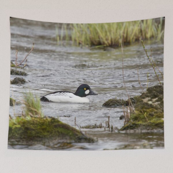 Item preview, Thosse golden eyes. Common goldeneye designed and sold by Jouko Lehto Photography.