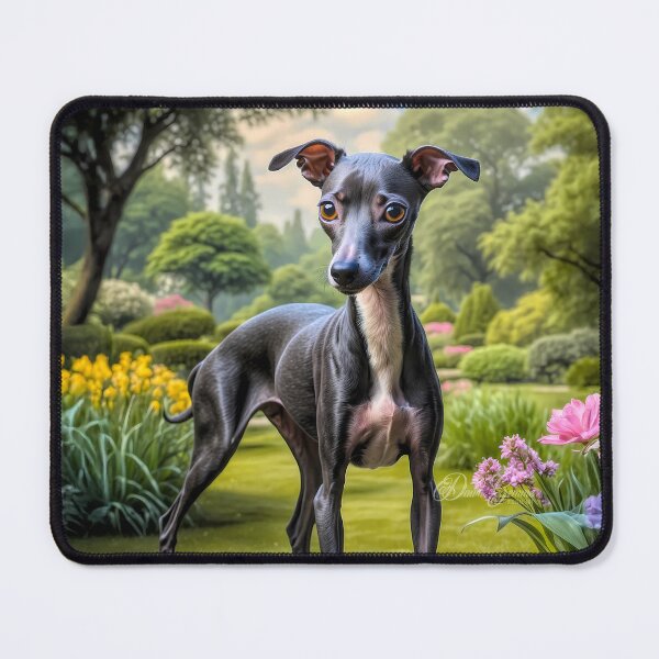 Item preview, Rigley Seal Italian Greyhound Puppy Portrait Painting designed and sold by Heart and Soul Studio.