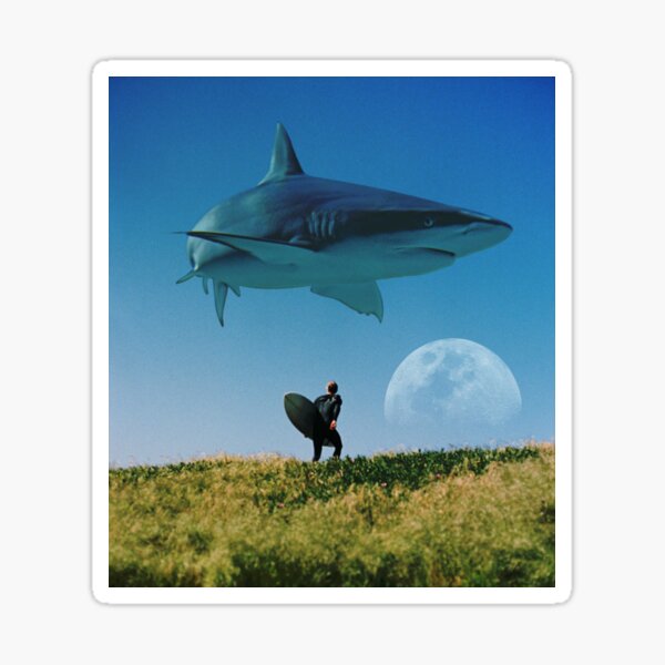 Shark and surfer Sticker