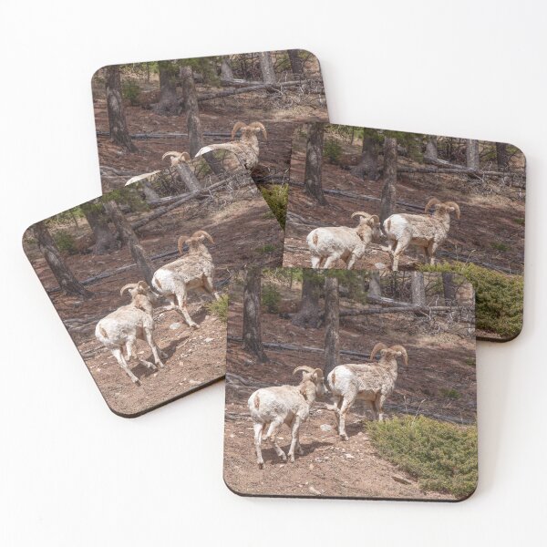 Item preview, Mountain Goats in Banff National Park designed and sold by jrtwynam.