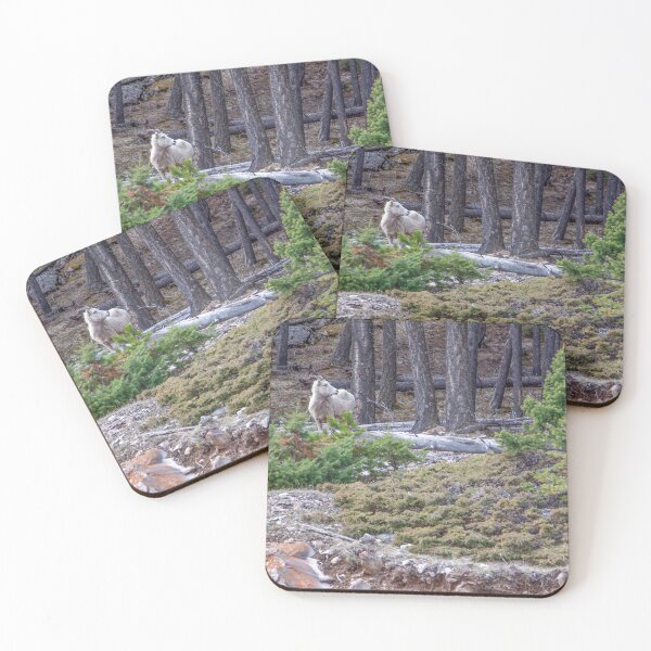 Item preview, Wild Mountain Goat in Banff National Park designed and sold by jrtwynam.