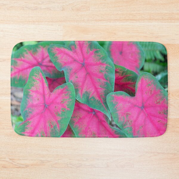Item preview, Red Caladiums LOTS AND LOTS X1 designed and sold by RichFrancoCars.