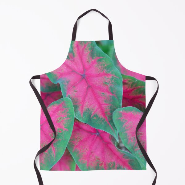 Item preview, Red Caladiums LOTS AND LOTS X1 designed and sold by RichFrancoCars.