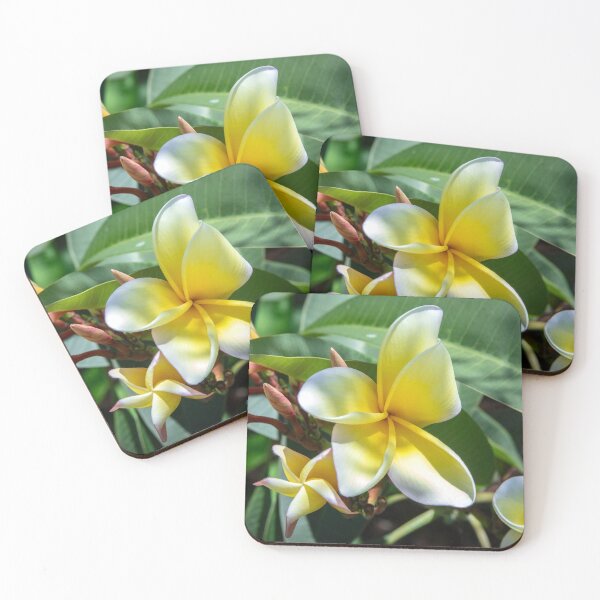 Aperçu de l'œuvre Plumeria Frangipanier Fleur Hawaïenne X130 créée et vendue par RichFrancoCars.