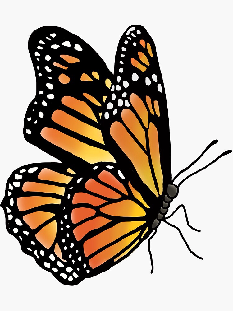 "Butterfly " Sticker for Sale by BohemianDesignz Redbubble