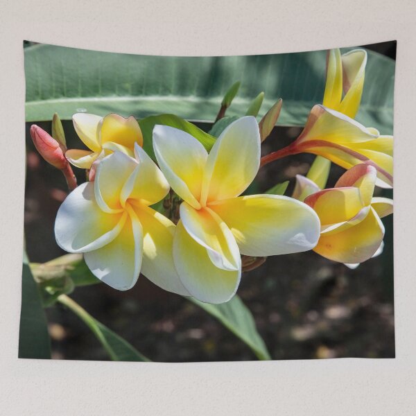 Item preview, Plumeria Frangipani Hawaiian Flower X133 designed and sold by RichFrancoCars.