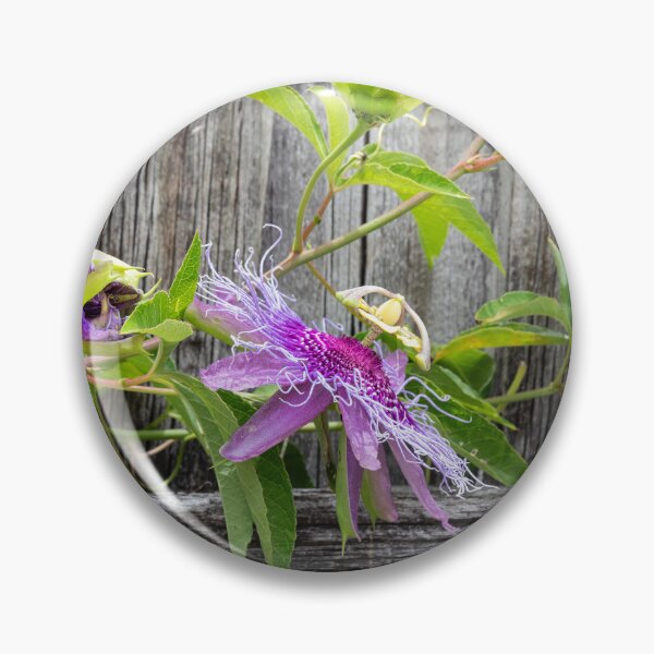 Item preview, A Passion for Flowers Passion Flower X110 designed and sold by RichFrancoCars.