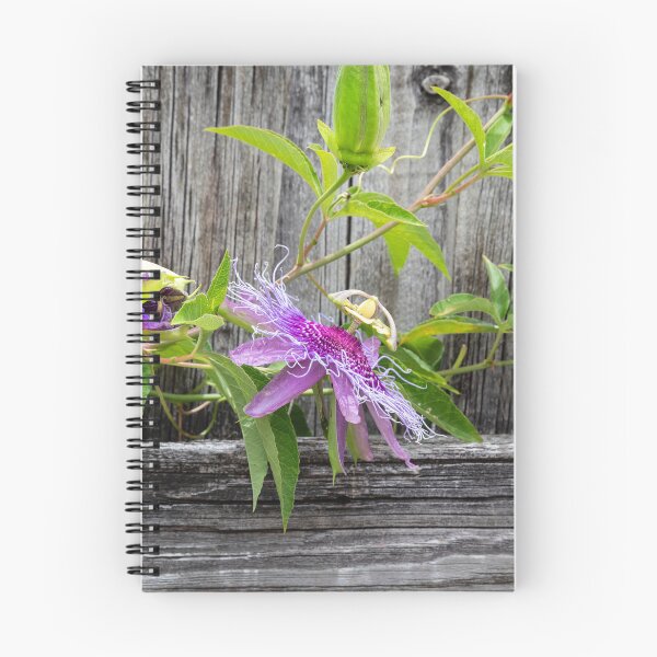 Item preview, A Passion for Flowers Passion Flower X110 designed and sold by RichFrancoCars.