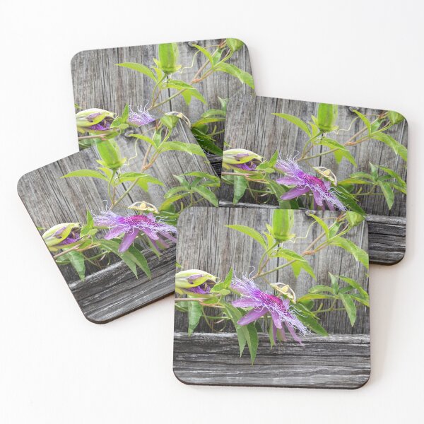 Item preview, A Passion for Flowers Passion Flower X110 designed and sold by RichFrancoCars.