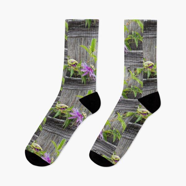 Item preview, A Passion for Flowers Passion Flower X110 designed and sold by RichFrancoCars.