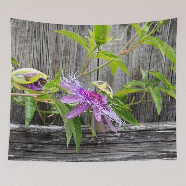 Item preview, A Passion for Flowers Passion Flower X110 designed and sold by RichFrancoCars.