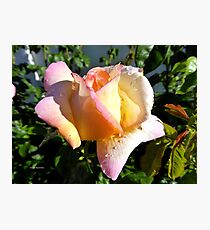 Sparkle of beauty Photographic Print